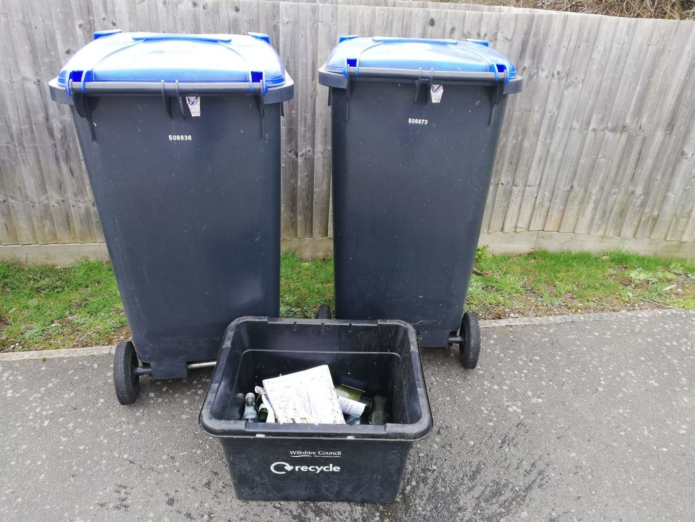 How are bin collections affected over Christmas in Wiltshire and